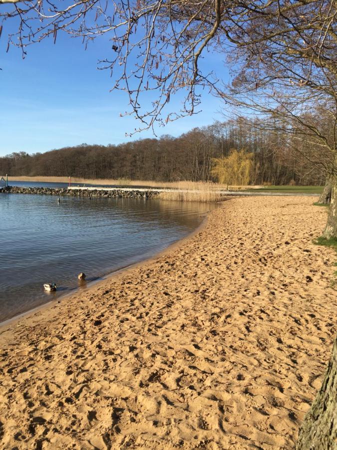 Ferienhaus mit Bootssteg am See in Rheinsberg Exterior foto